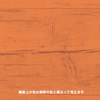 アリシスゴールド オレンジ 2L #00147670270000 カンペハピオ（直送品）