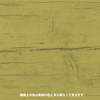 ヌーロステイン ライトオーク 30ML #00287653472030 カンペハピオ（直送品）