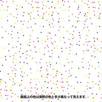 ヌーロ ラメクリアコート 18ML #00277651602018 カンペハピオ（直送品）