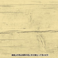 チークオイルA とうめい 300ML #00337644992300 カンペハピオ（直送品）