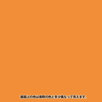 ヌーロ 夜光オレンジ 30ML #00277651732030 カンペハピオ（直送品）