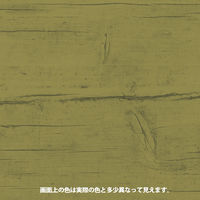 ヌーロステイン オーク 30ML #00287653492030 カンペハピオ（直送品）