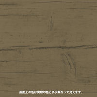 ヌーロステイン ウォルナット 70ML #00287653572070 カンペハピオ（直送品）