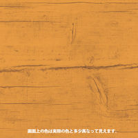 ヌーロステイン けやき 70ML #00287653482070 カンペハピオ（直送品）