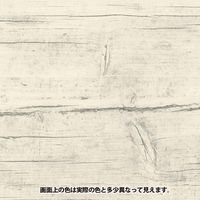 カンペハピオ 水性ウレタン着色ニス ホワイト 100ML #00707654012100 1個