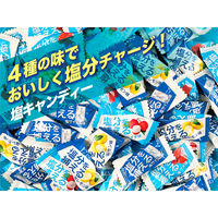 スマチャ！ 塩キャンディー4種アソート 1袋（ 500g）鈴木栄光堂 塩飴