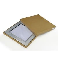 大仙 色紙額 風雅 シルバー 520100201 1枚