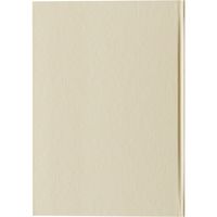 ダイゴー 令和日記 見開き4日 B6 横罫 アイボリー R2250（直送品）