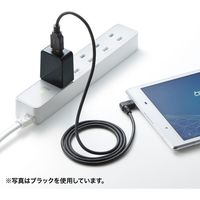 サンワサプライ USB充電器 AC充電器 2A 長期間高耐久タイプ ホワイト ACA-IP52W 1個
