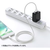 サンワサプライ USB充電器 AC充電器 1A 長期間高耐久タイプ ホワイト ACA-IP49W 1個
