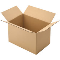 【140サイズ】現場のチカラ エコノミータイプ 軽梱包用ダンボール外寸：幅600×奥行400×高さ390mm 1梱包（20枚入） オリジナル