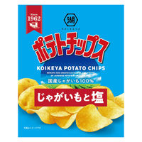 小袋 ポテトチップス じゃがいもと塩 24袋 湖池屋 スナック菓子 おつまみ