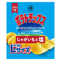 Largeサイズ ポテトチップス じゃがいもと塩 6袋 湖池屋 スナック菓子 おつまみ