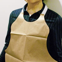 溝端紙工印刷 紙エプロン 未晒し 中 1袋（100枚入） MPE002