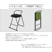SANKEI GARDE STUDIO 折りたたみハイチェア ハイエールC クッション付 グリーン NT-FC-22064(座付き) 1脚（直送品）