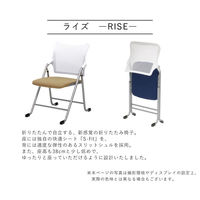 SANKEI GARDE STUDIO 折りたたみイス ライズ 座S-Fit ベージュ NT-FC-22071 1脚（直送品）