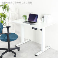 【軒先渡し】アスカ電動昇降デスク メモリー付 1000mm 白×白EDK10W1台（直送品）