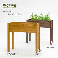 タカショー ベジテラストロリープランター キャスター付 ブラウン WSP-06B 1台