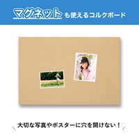 アスカ 枠無しマグピンコルクボード LL CB348 1枚