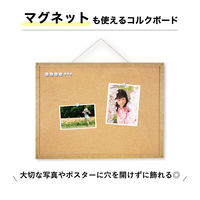 アスカ マグピンコルクボード L CB351 1枚