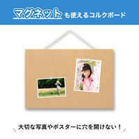 アスカ 枠無しマグピンコルクボード M CB346 1枚