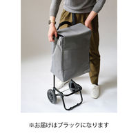 レップ ノワール 2層式カートセット 重いものと潰れやすいものを上下分けて収納できる 527719 1台（直送品）