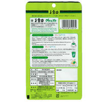 玉露園 濃いグリーンティー 1袋（90g）インスタント 緑茶 粉末