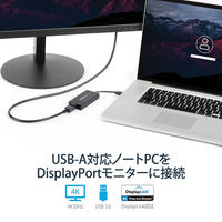 DisplayPort変換アダプタ [USB-A（オス） - ディスプレイポート（メス）] 4K対応 Startech.com