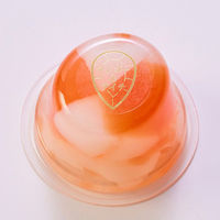 中島大祥堂 【35個セット】ピッコロドルチェ　マンゴー＆ライチ味 10419312-35（直送品）