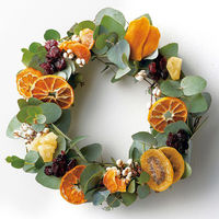 アデリー 【50個セット】ホシフルーツ　太陽のドライフルーツ　輪切りみかん 4977915027049-50（直送品）