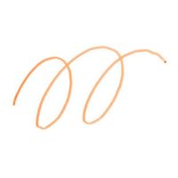 フリクションカラーズ オレンジ サインペン SFC-10M-O パイロット