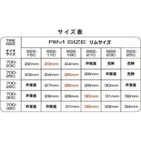 パナレーサー F730AGーAX AGILEST(アジリスト) F700×30 黒/オープン 1本（直送品）