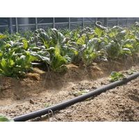 灌水チューブ ECOチューブECOーEKー04 0_2x50x200 1ケース(5本) 農業 フィルム ECOーEKー04 1本（直送品）