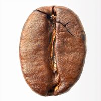 サイトロンジャパン LAOWA ラオワ 100mmF2.8 2.5ー5X Ultra Macro ニコンF LAO0042 1個（直送品）