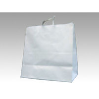 パックタケヤマ 紙袋 手提袋 HVT150 晒 無地 00031799 1袋(50個)（直送品）