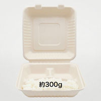 パックスタイル バガス容器 新BBランチ 230-230-3 00677774 1袋(50個)（直送品）