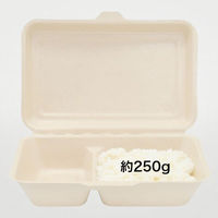 パックスタイル バガス容器 WBランチ 240-150-2 ラミ 00686420 1袋(50個)（直送品）