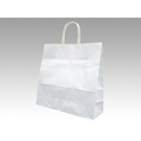 福助工業 紙袋 紙手提袋 ラッピーバッグNo.3 晒無地 0120669 1袋(50個)（直送品）
