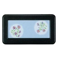 タカギ産業  弁当容器 FW-1100 [本体]黒・内赤40 [蓋]黒・みやこわすれ 1133799 100枚(10枚×10)（直送品）