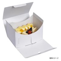 ヤマニパッケージ  ケーキ箱 サービス組立110 #4 保冷F付 20-510 600箱(100箱×6)（直送品）