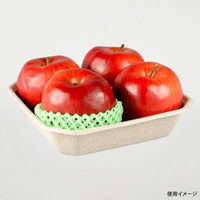 パックスタイル バガス容器 WBフルーツ 4L 4589443403266 1袋(50個)（直送品）