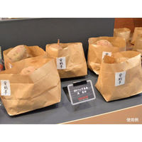 パックスタイル 青果用袋 SH舟底バッグ浅 無地 取手無 534560 1袋(100個)（直送品）