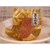 パックスタイル 脱気袋 PS ビーフパック 2030 金 563563 1袋(100個)（直送品）