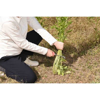 タマハシ 4WAY除草鎌 SV-7244 1本（直送品）