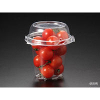 パックスタイル 青果・農産容器 CSミニトマト 150 00588963 1袋(100個)