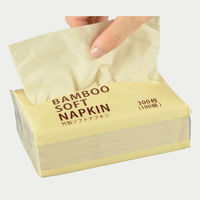 パックスタイル 紙ナフキン BBソフトナフキン 300枚/100組 617496 1袋(1個)（直送品）