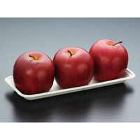 パックスタイル バガス容器 WB 24-10 604003 1袋(50個)（直送品）