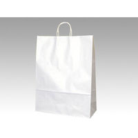 パックタケヤマ 紙袋 手提袋 HV100 晒 無地 68905 1袋(50個)（直送品）