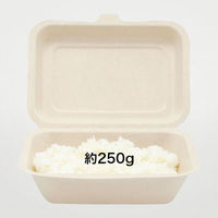 パックスタイル バガス容器 WBランチ 180-130 ラミ 00686419 1袋(50個)