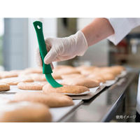 ヴァイカン ブラシ USTペストリーブラシ グリーン 5551302 1個（直送品）